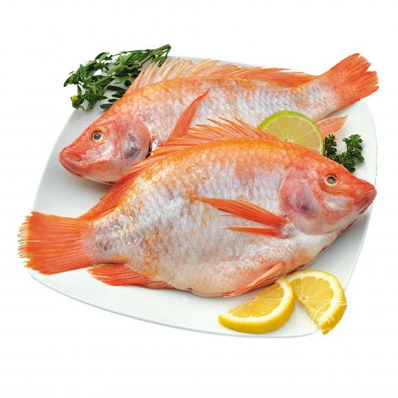 Pescados - Productos Distribolivar